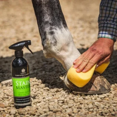StainMaster Green Spot Remover Spray