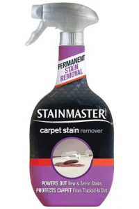 STAINMASTER Carpet Stain Remover