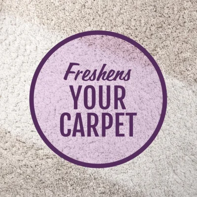 STAINMASTER Carpet Cleaner