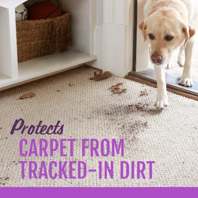 STAINMASTER Carpet Cleaner