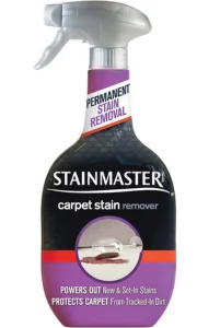 STAINMASTER Carpet Stain Remover